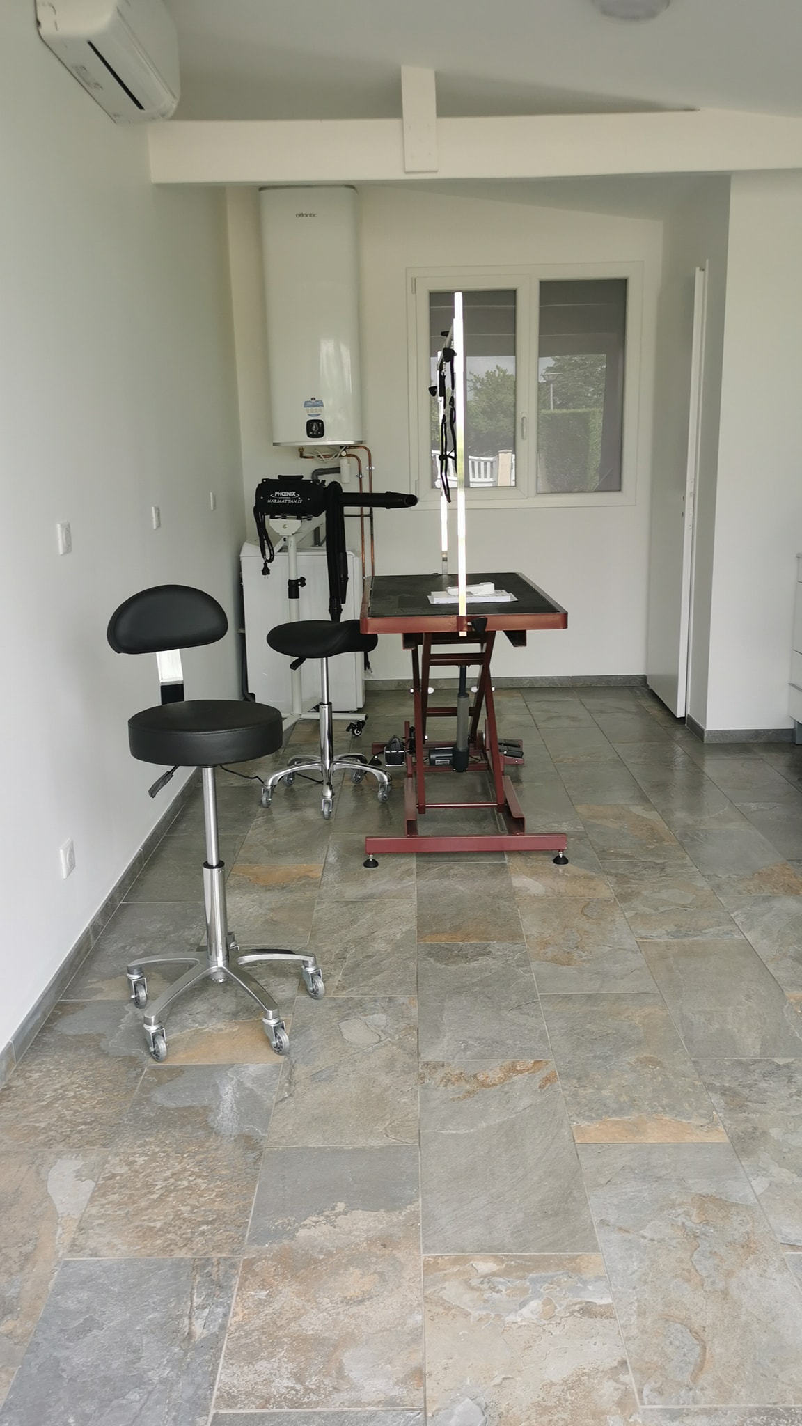 Salon de toilettage - Toilettage canin professionnel avec soins complets