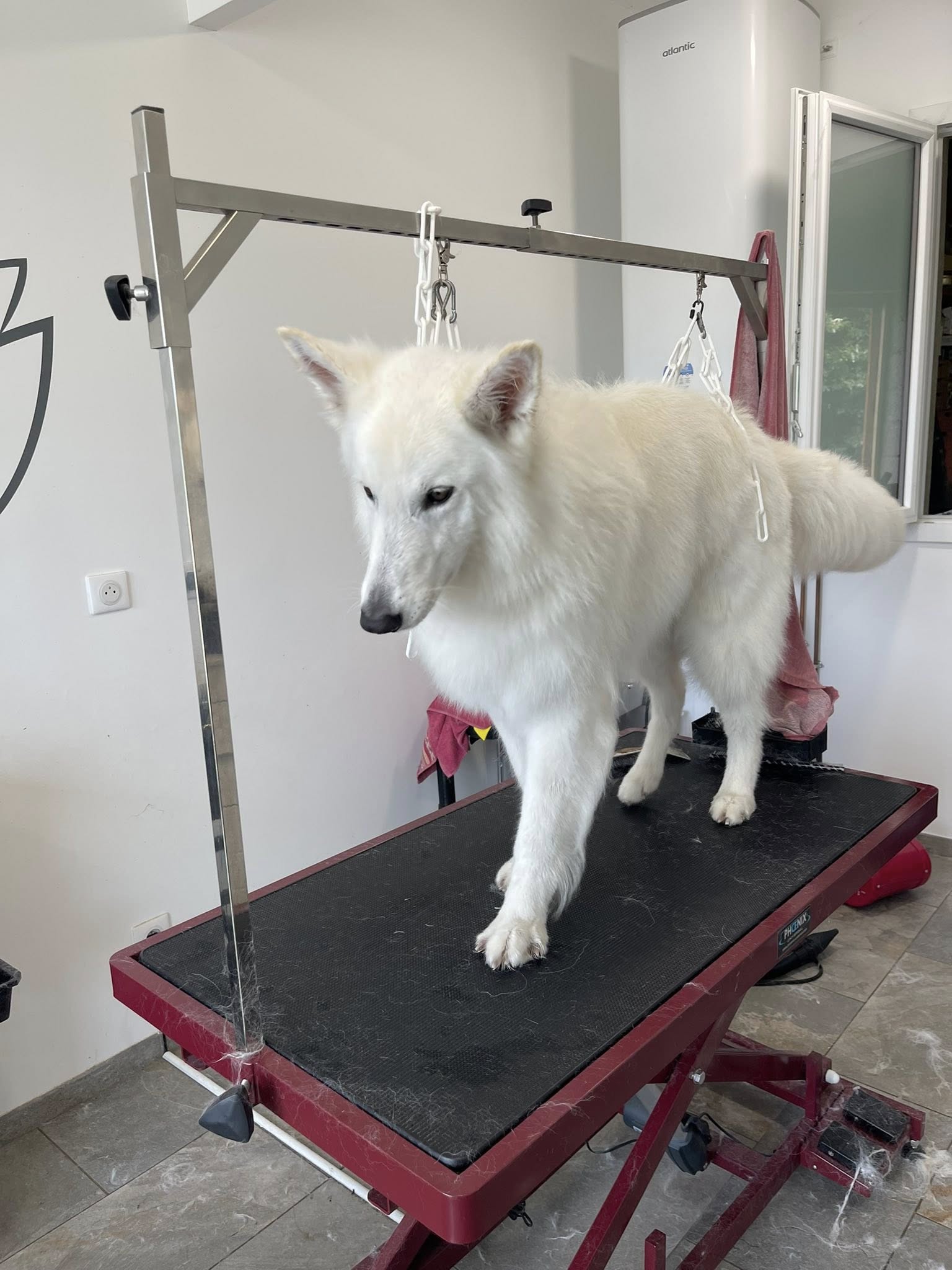 Aldaya salon de toilettage Aldaya salon de toilettage