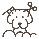 Démêlage du pelage<br />
